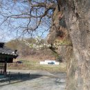 계봉농장 이미지