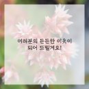 우리동네 싱크대 이미지