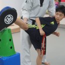 월드태권전문도장 이미지