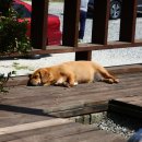 주남오리궁 이미지