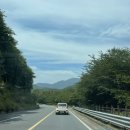 명교해수욕장 | 근교 강아지동반 캠핑 돗자리 보성 명교해수욕장 (보성 율포해수욕장 근처) 광주 근교 바다 드라이브...