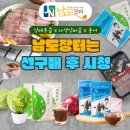 홍어장터