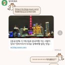 제주-상해 1박2일여행 제주도직항국제선 중국 춘추항공 후기 (예약&amp;탑승팁)