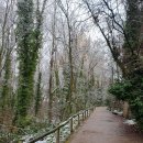 세고비아 이미지