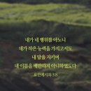 작전유도 Daum카페