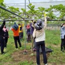 회진면 행정복지센터 이미지