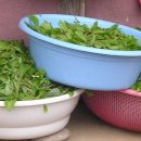 행복팬션 이미지