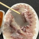 강릉 별주부횟집 : 강릉 중앙시장 회포장 맛집 고민 없이 여기로