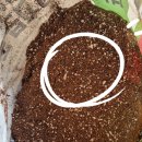 거목축산 이미지