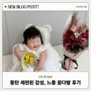동탄산단2길L | [동탄 꽃집] 감성 가득! 아화 꽃집에서 만난 예쁜 꽃다발 &amp; 집들이 화분 솔직 후기 (영천동,11자상가 꽃집)