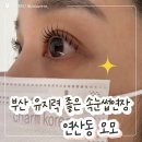 오모 | [연산동 속눈썹연장 추천]유지력 오래가는 속눈썹 연장 오모 만족 후기