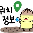 네일 아무르 이미지