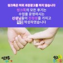혜윰네이쳐 이미지