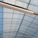 마루농장 이미지