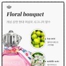 마리나드 이미지