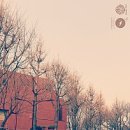 미소컴퍼니 이미지