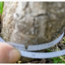 정열농장 이미지