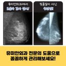 유미안외과 이미지