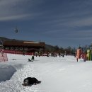 데굴데굴 이미지