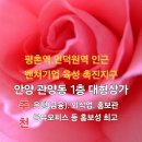 홍보성 이미지