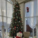 삼박곡 | 용인 처인구 마평동 [카페싱싱] 수플레 브런치 맛집 내돈내산 찐후기(애견동반가능)