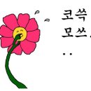 W 치과의원 이미지