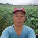 안산화랑오토캠핑장 이미지