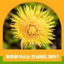 정의식품 이미지