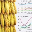 입력 2011.02.06 18:37...곡물 수출금지·가격규제… 전세계는 지금 식량확보 전쟁. 이미지