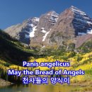 토스티의 ‘기도(Preghiera)’ 와 프랑크의"생명의 양식(Panis angelicus)” 이미지