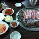 하누도니 이미지