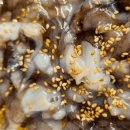 안면도수산시장(안면도장터) 이미지