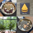 송천2동-01(송천2동주민센터) | 빙수의 근본 전북도청 앞 전주 '꿀비' 본점🐝🍨(내돈내산후기)