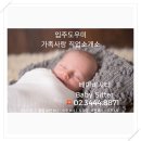 위드직업소개소 이미지