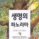 홍승우 TV리포트