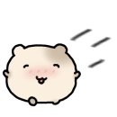 선원상회 이미지