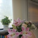 박선생영어교습소 - 고양시 일산동구 강송로 149 | 박선생영어교습소