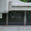 선산(양평) 이미지