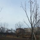 한서초등학교(병설) 이미지