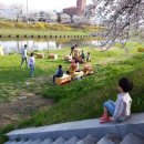 곡성기차당 뚝방마켓 이미지