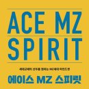 에이스정수 네이버블로그
