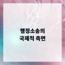 국제행정 이미지