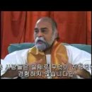 원네스 이미지
