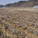 풍년건강원 이미지