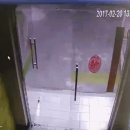 멍멍이PC 이미지