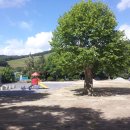 금곡초등학교 이미지