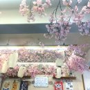 푸드 딜리버리 동대문구점 | 동대문 초밥 맛집 신설동 혼밥 ‘ 스시반상 ’ 시그니처 정품스시