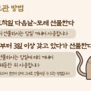 행운의젤다 네이버블로그