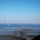 (주)소구 이미지