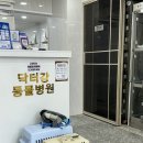 닥터강동물병원 이미지